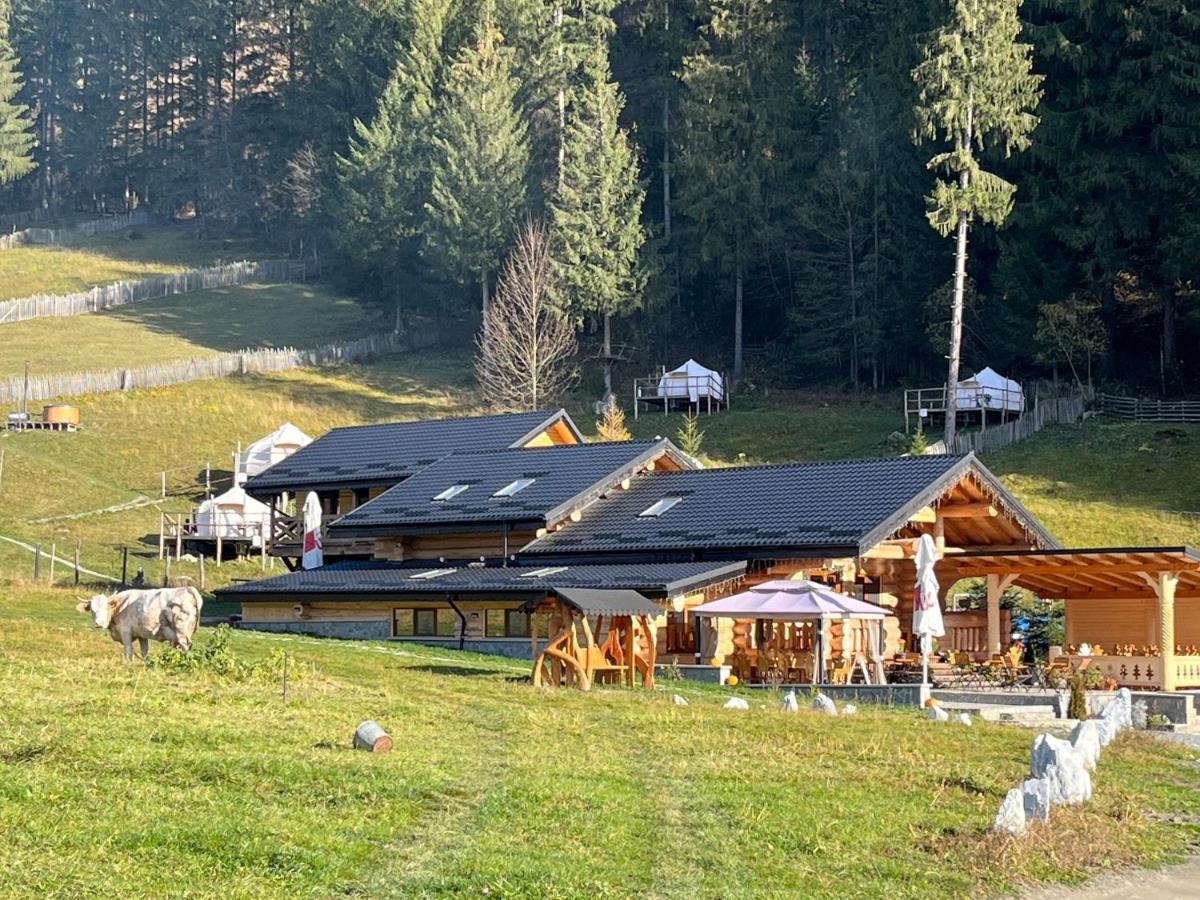 Pensiunea Mireasma Bucovinei Crucea Buitenkant foto