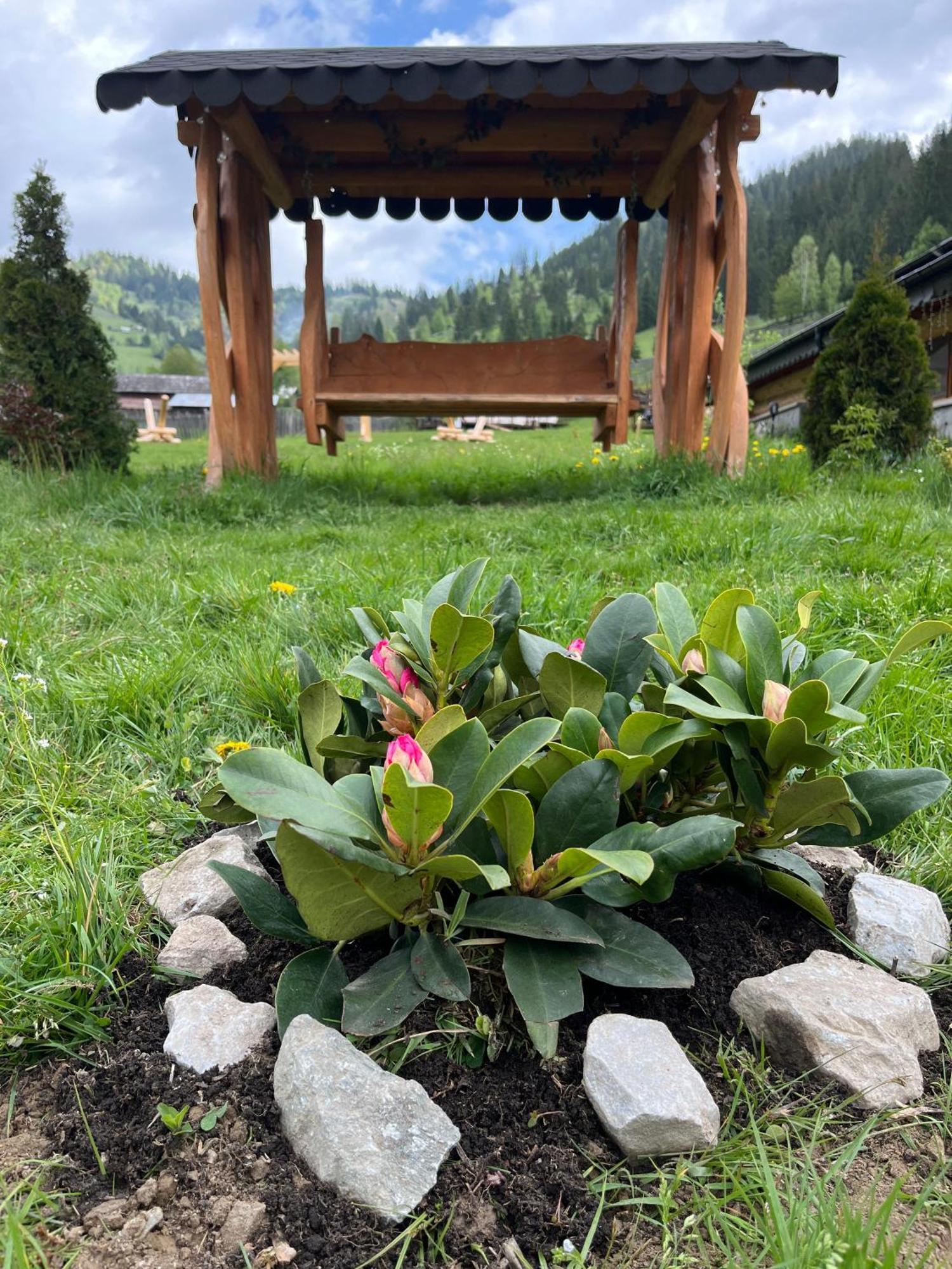 Pensiunea Mireasma Bucovinei Crucea Buitenkant foto